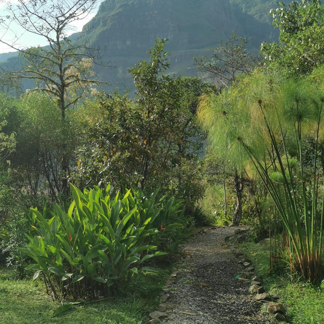 Goctamarca Lodge Cocachimba ภายนอก รูปภาพ