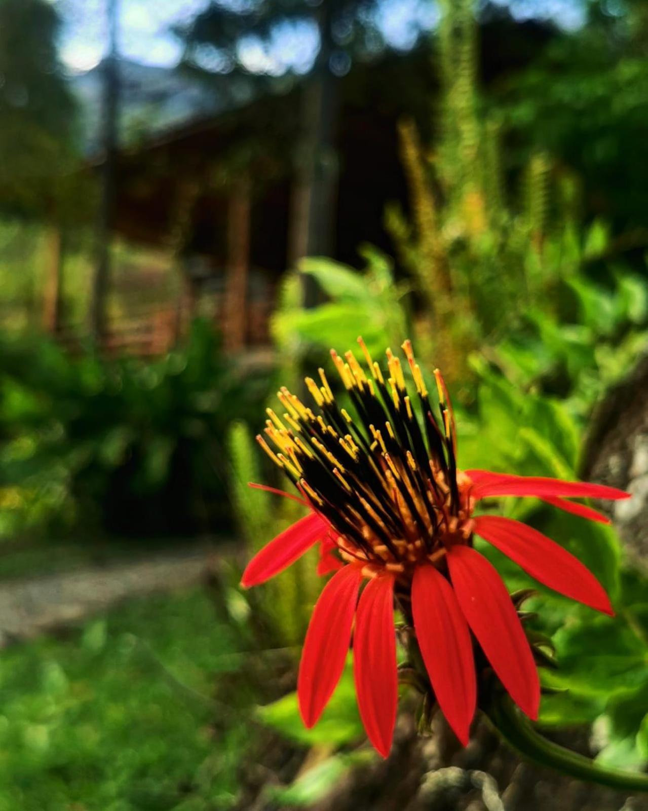 Goctamarca Lodge Cocachimba ภายนอก รูปภาพ